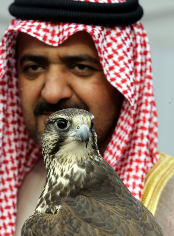 &copy; Reuters. حاكم الشارقة الشيخ سلطان بن محمد القاسمي في صورة من أرشيف رويترز.