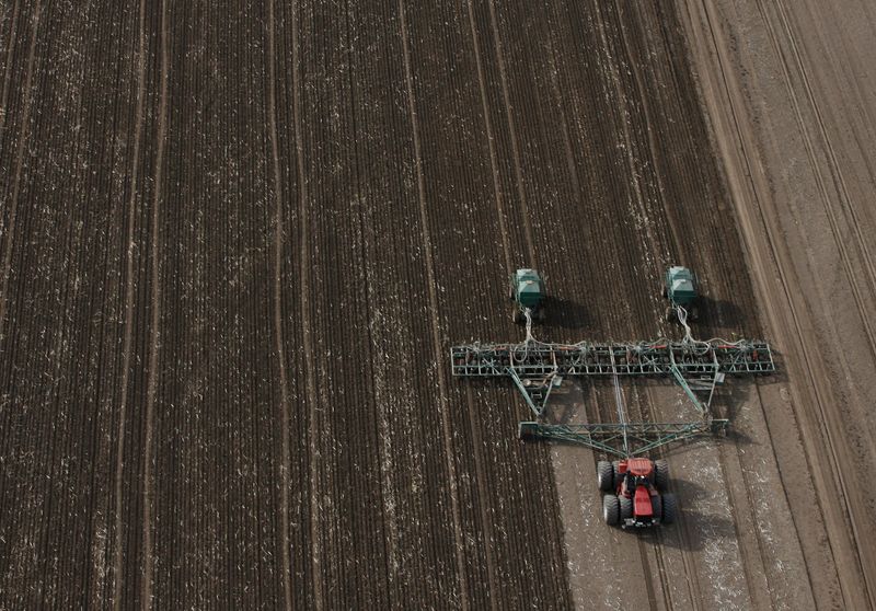 &copy; Reuters. Plantio de trigo na Austrália
19/06/2008
REUTERS/Daniel Munoz 