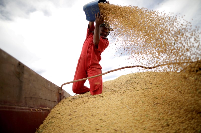 © Reuters. Foto de archivo de un trabajador descargando porotps de soja en un camión en Campos Lindos, Brasil
Feb 18, 2018. REUTERS/Ueslei Marcelino/
