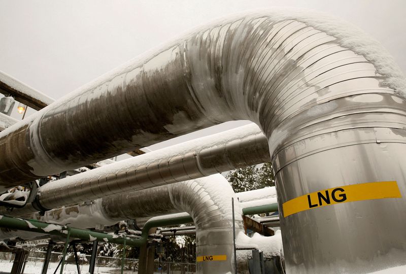 © Reuters. FILE PHOTO: Snow-covered transfer lines are seen at the Dominion Cove Point Liquefied Natural Gas (LNG) terminal in Lusby, Maryland March 18, 2014. REUTERS/Gary Cameron//File Photo