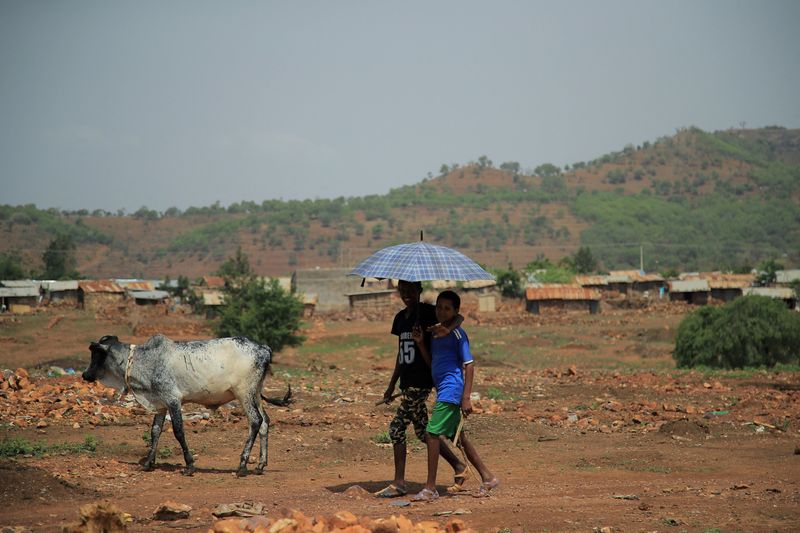 &copy; Reuters. Les forces rebelles du Tigré, en Éthiopie, ont déclaré qu'elles respecteraient le cessez-le-feu proposé par le gouvernement du Premier ministre Abiy Ahmed, à condition qu'une aide humanitaire suffisante soit fournie à leur région ravagée par la g