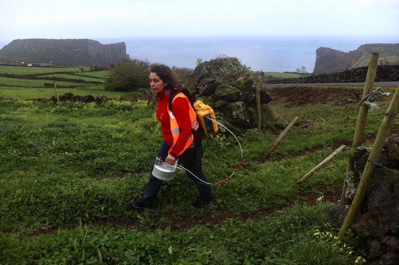 Vulcanologistas buscam respostas enquanto ilha nos Açores, em Portugal, continua tremendo