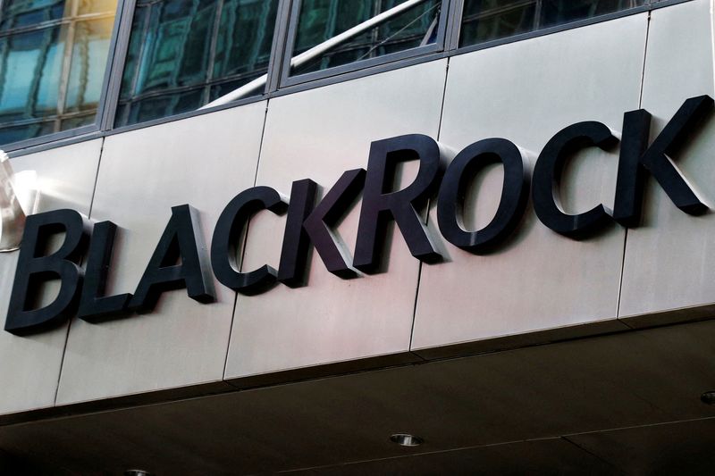 &copy; Reuters. FILE PHOTO: The BlackRock logo is seen outside of its offices in New York City, U.S., October 17, 2016.  REUTERS/Brendan McDermid