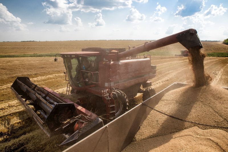 &copy; Reuters. 国連の世界食糧計画（ＷＦＰ）のビーズリー事務局長は２９日、ウクライナ戦争について、世界の約１億２５００万人に食料を供給するＷＦＰの取り組みに打撃となる恐れがあると警告した