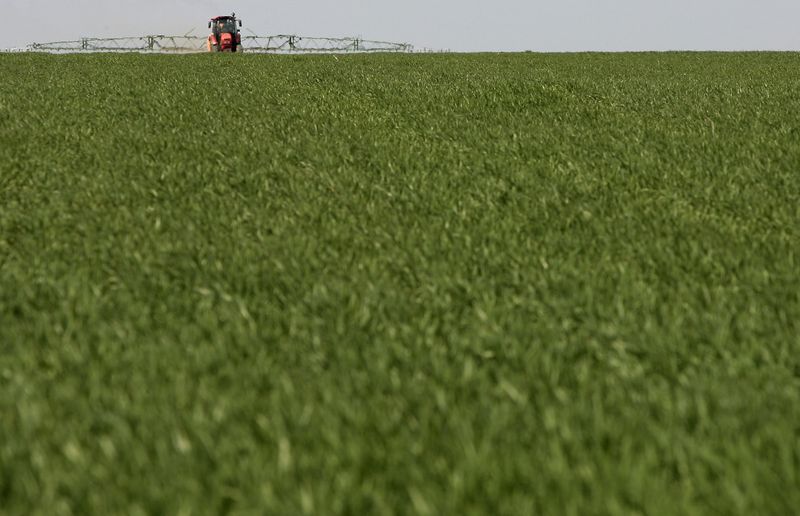 &copy; Reuters. FILE PHOTO: A tractor sows sunflower seeds and fertilizes the soil with chemicals at "Leninskoye znamya" (Lenin banner) collective farm, about 40 km (25 miles) southwest of Rostov-on-Don, April 25, 2011.  REUTERS/Vladimir Konstantinov/File Photo