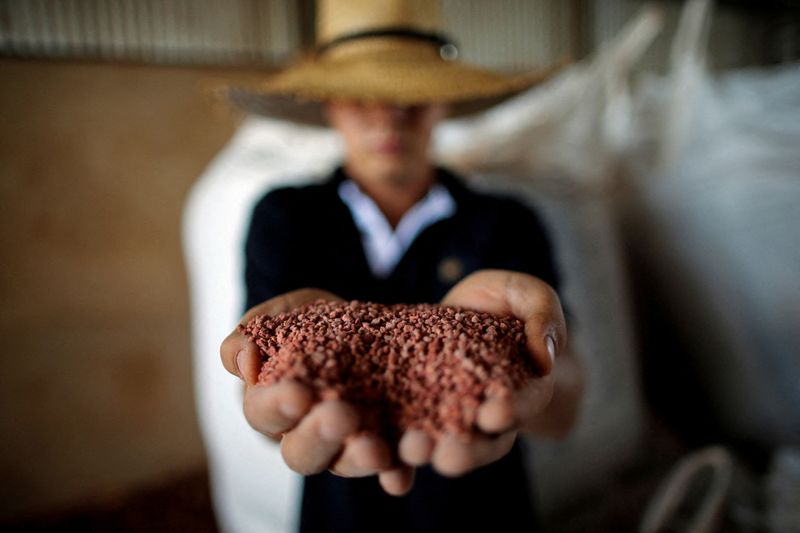 &copy; Reuters. Agricultor mostra fertilizante antes de espalhar em campo de soja perto de Brasília, Brasil. 
15/02/2022
REUTERS/Adriano Machado