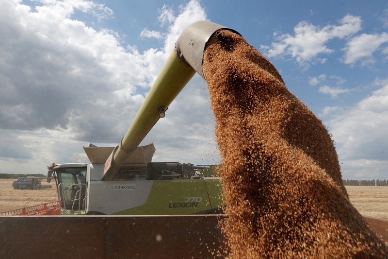 &copy; Reuters. FILE PHOTO: A combine harvester loads a truck with wheat in a field near the village of Hrebeni in Kyiv region, Ukraine July 17, 2020. REUTERS/Valentyn Ogirenko/File Photo