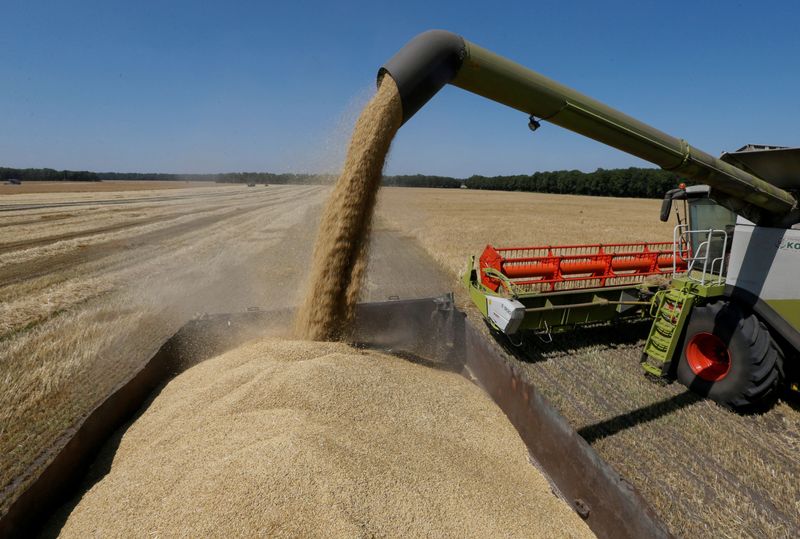 &copy; Reuters. Le ministère de l'Agriculture ukrainien a annoncé samedi avoir revu à la hausse ses prévisions de semis de printemps pour cette année, sans préciser les raisons de cette révision. /Photo d'archives/REUTERS/Valentyn Ogirenko