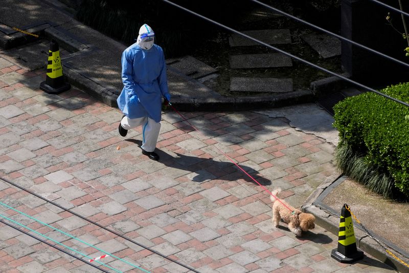 &copy; Reuters. A person in personal protective equipment (PPE) walks a dog at a resident community, as the second stage of a two-stage lockdown has been launched to curb the spread of the coronavirus disease (COVID-19) in Shanghai, China April 3, 2022. REUTERS/Aly Song 