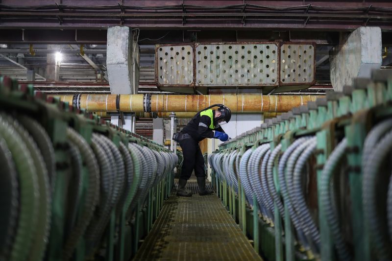 &copy; Reuters. An employee works in a nickel electrolysis workshop of Kola Mining and Metallurgical Company (Kola MMC), a subsidiary of Nornickel metals and mining company, in the town of Monchegorsk in Murmansk Region, Russia February 25, 2021. REUTERS/Evgenia Novozhen