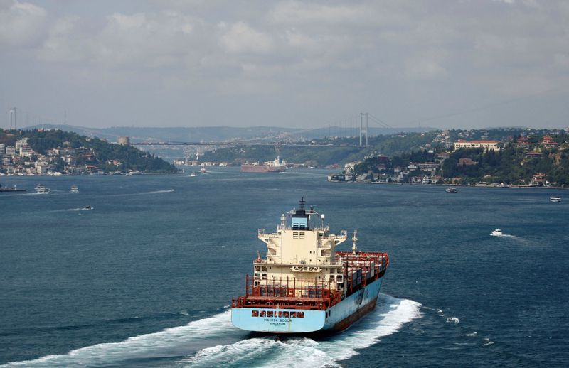 &copy; Reuters. ناقلة نفط تمر عبر مضيق البوسفور إلى البحر الأسود في إسطنبول بتركيا. صورة من أرشيف رويترز.