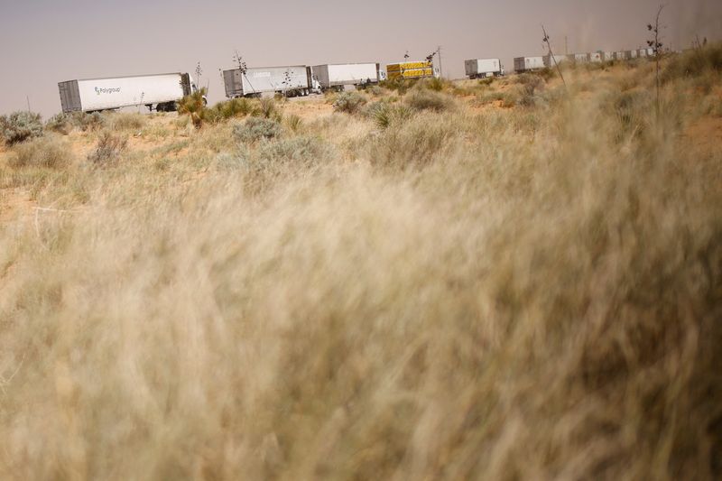 &copy; Reuters. Trucks wait in a queue to cross into the United States as Mexican truck drivers block the Jeronimo-Santa Teresa International Bridge connecting the city of Ciudad Juarez to Santa Teresa, Nuevo Mexico, to protest truck inspections imposed by Texas Governor