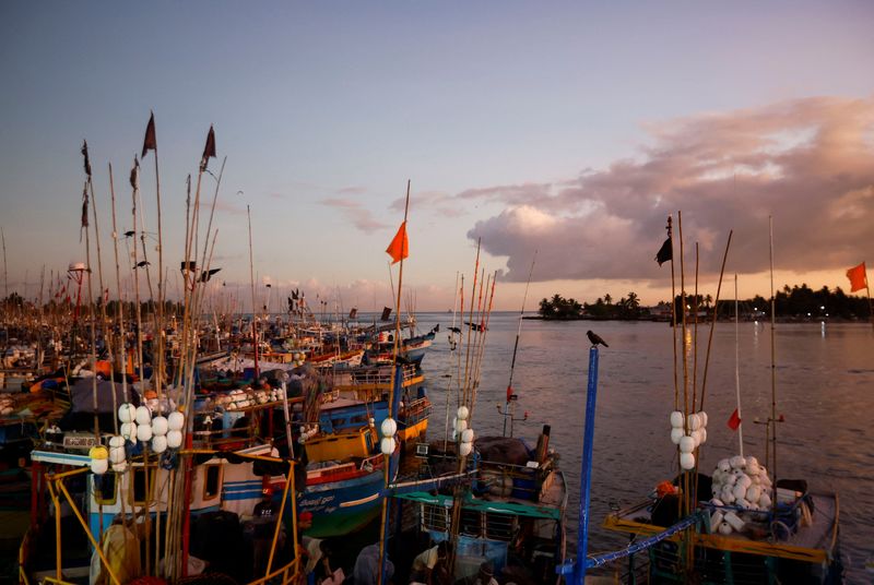 &copy; Reuters. A general view of fishing trawlers parked at Negombo's "Lellama" fishery harbour during the sunrise, as fishermen and their families struggle due to a lack of diesel and a price hike over the last few months amid the country's economic crisis, in Negombo,