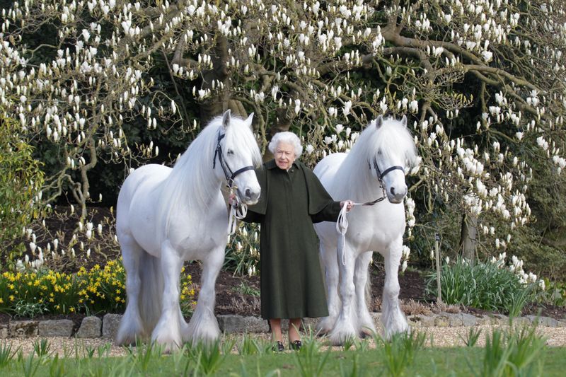 &copy; Reuters. La reina Isabel II de Reino Unido sujeta a sus ponis, Bybeck Nightingale (a la derecha) y Bybeck Katie, en esta imagen distribuida el 20 de abril de 2022 por la Feria Equina Real de Windsor para celebrar su cumpleaños 96. henrydallalphotography.com/PA Wi