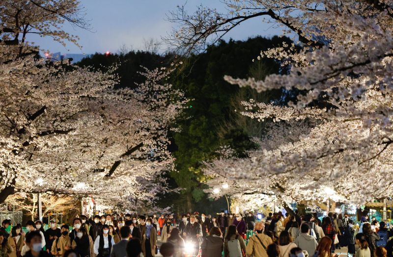 &copy; Reuters. 　４月２２日、総務省が発表した３月の全国消費者物価指数（ＣＰＩ）によると、電気代は前年比２１．６％上昇と４１年ぶりの伸び率となった。写真は３月３０日、桜を見る人でにぎわう