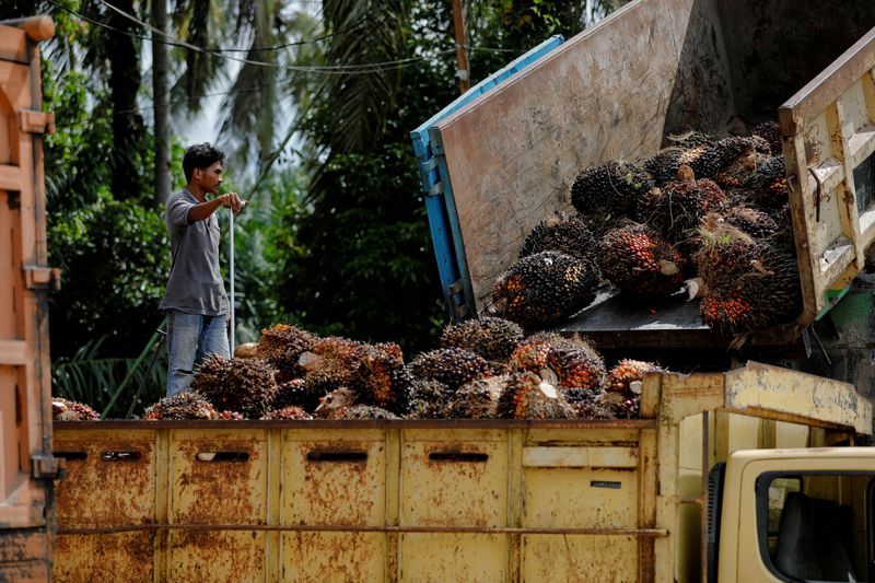 &copy; Reuters. A worker stands as fresh fruit bunches are unloaded to be distributed from the collector site to CPO factories, as Indonesia announced a ban on palm oil exports effective this week in Kampar regency, Riau province, Indonesia, April 26, 2022. REUTERS/Willy