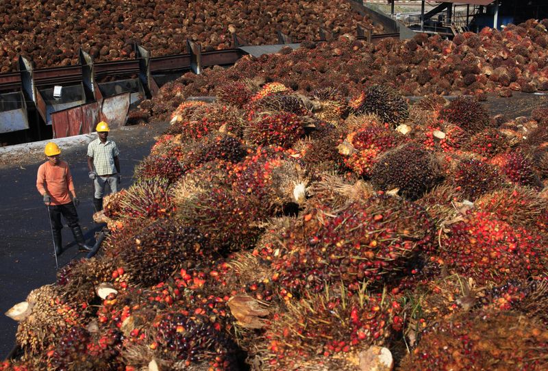 &copy; Reuters. FILE PHOTO: Workers stand near palm oil fruits inside a palm oil factory in Sepang, outside Kuala Lumpur, February 18, 2014. REUTERS/Samsul Said (MALAYSIA - Tags: BUSINESS COMMODITIES)