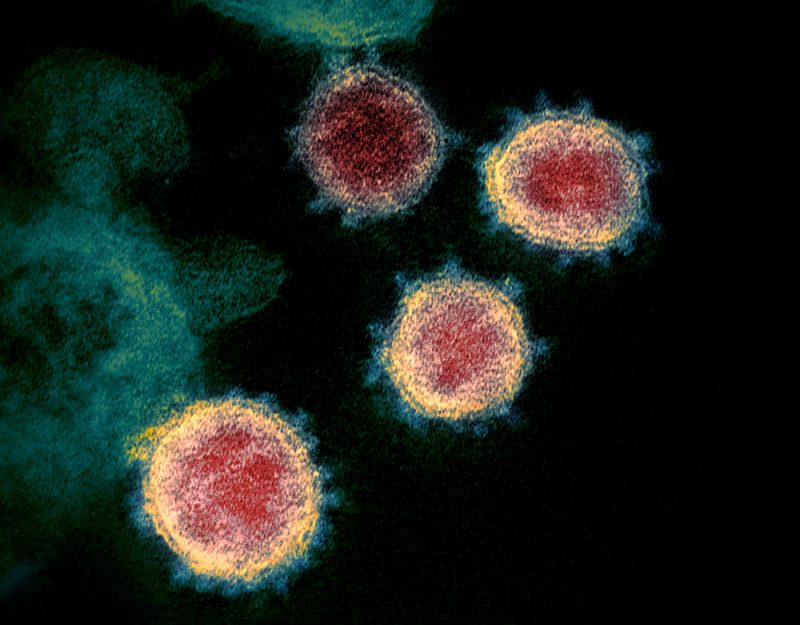 &copy; Reuters. ４月２６日、米疾病対策センター（ＣＤＣ）が発表した研究から、米国民全体の約５８％がこれまでに少なくとも１回新型コロナウイルス感染していたことが分かった。２０２１年１２月に