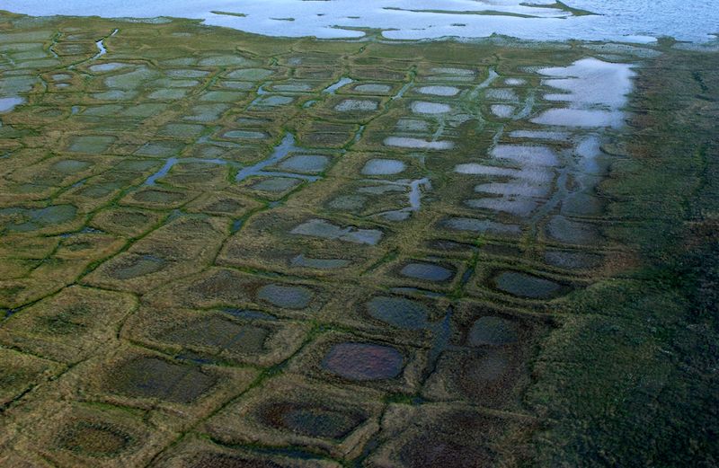 © Reuters. Permafrost forms a grid-like pattern in the National Petroleum Reserve-Alaska, a 22.8 million acre region managed by the Bureau of Land Management on Alaska's North Slope, in this undated handout image. USGS/David W Houseknecht/Handout via REUTERS