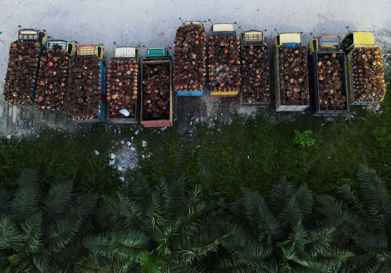 &copy; Reuters. Trucks with palm oil fresh fruit bunches are parked in a queue at a palm oil factory in Siak regency, Riau province, Indonesia, April 26, 2022. Picture taken with a drone April 26, 2022. REUTERS/Willy Kurniawan