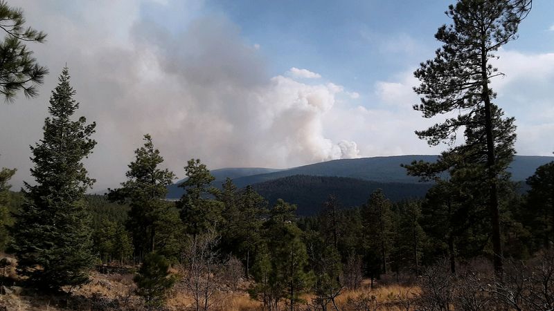 Largest U.S. wildfire rages out of control in New Mexico