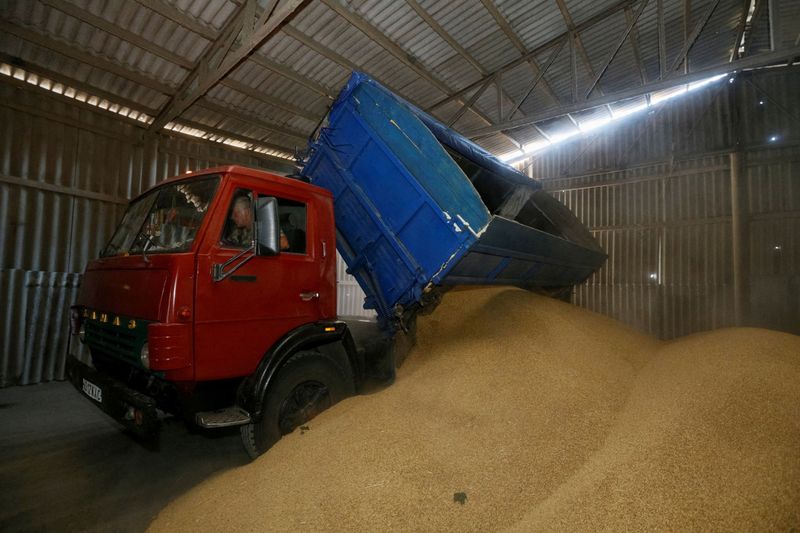 &copy; Reuters.     ウクライナのゼレンスキー大統領は２日、ロシアが黒海の港を封鎖しているため数千万トンの穀物が失われ、欧州・アジア・アフリカで食糧危機が起きる恐れがあると警告した。資料写