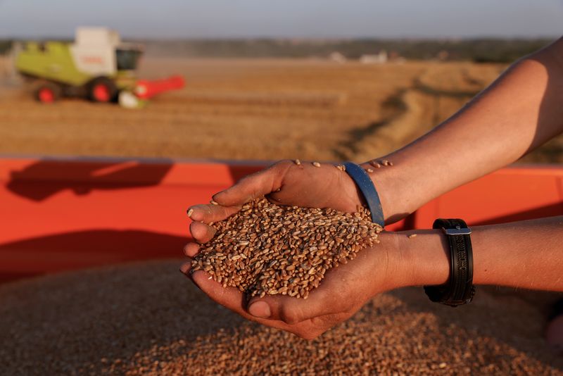 &copy; Reuters. مزارع فرنسي يعرض حفنة من القمح بعد حصاده في حقل في شمال فرنسا. صورة من أرشيف رويترز.