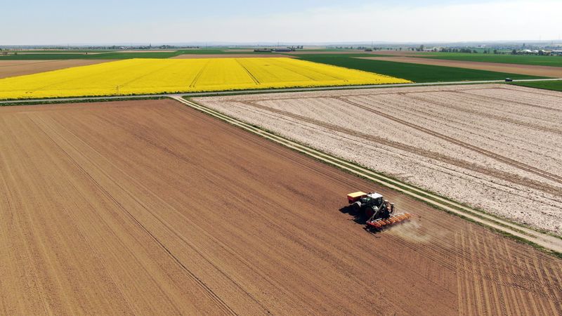 &copy; Reuters. Plantação de milho em Frauwuellesheim, Alemanha. 
21/04/2020 
REUTERS/Stephane Nitschke