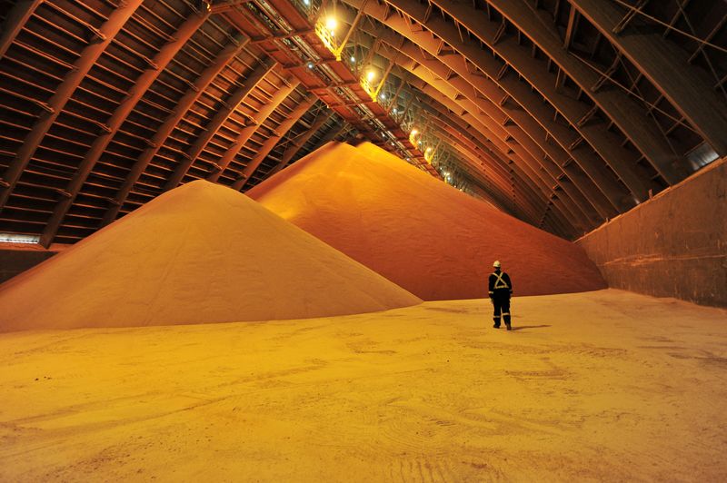 © Reuters. FILE PHOTO: An interior view of the storage warehouse is seen at Nutrien's Cory potash mine near Saskatoon, Saskatchewan, Canada August 12, 2019.  REUTERS/Nayan Sthankiya