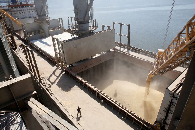 &copy; Reuters. FOTO DE ARQUIVO: Trabalhador do estaleiro observa grãos de cevada sendo despejados em um navio em Nikolaev. 9 de julho de 2013. REUTERS/Vincent Mundy