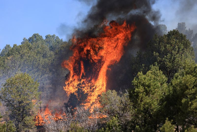 &copy; Reuters. حرائق غابات قرب لاس فيجاس بولاية نيو مكسيكو الأمريكية يوم الأربعاء. تصوير: كيفن لامارك - رويترز.