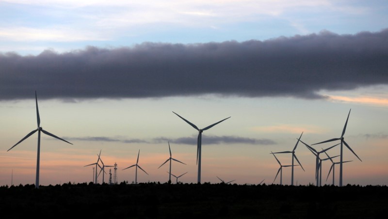 © Reuters. Parque de energia eólica
17/12/2012
REUTERS/Sergio Perez