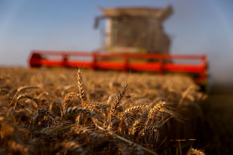 &copy; Reuters. FILE PHOTO: A French farmer harvests his field of wheat during sunset in Thun-L'Eveque, northern France, July 22, 2021. REUTERS/Pascal Rossignol/File Photo