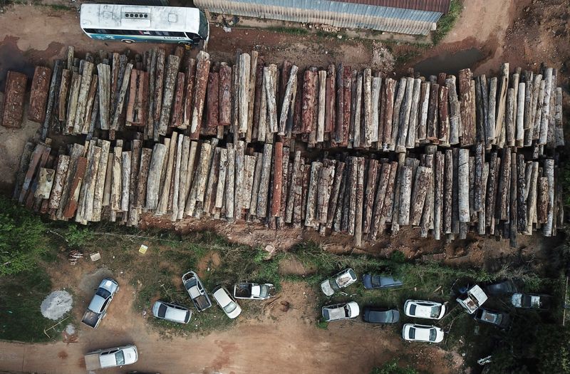 &copy; Reuters. Imagen de archivo de troncos apilados tras una tala ilegal en la localidad amazónica de Anapu, en el estado brasileño de Pará. 2 septiembre 2019. REUTERS/Nacho Doce