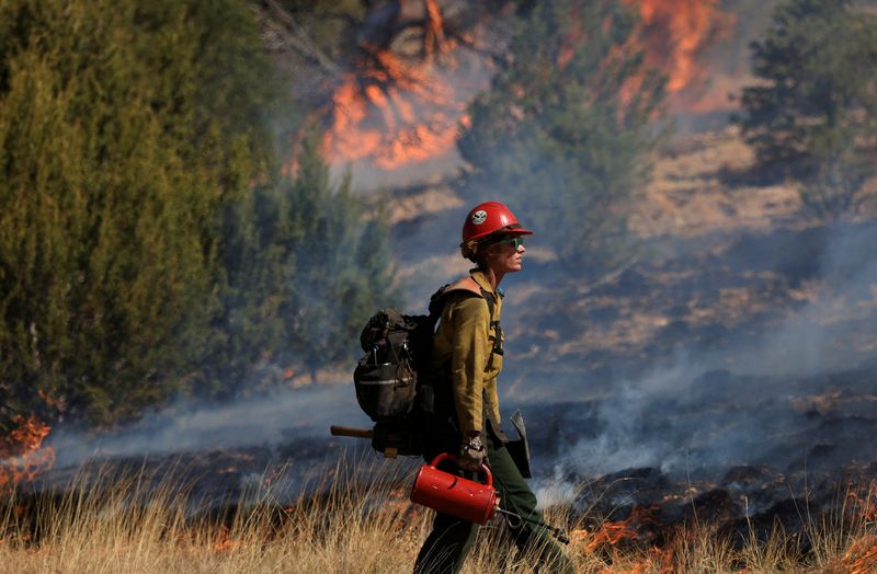 Heavy winds expected to fan New Mexico wildfire over weekend