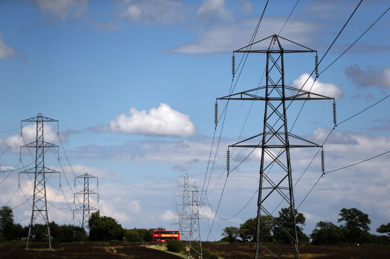 &copy; Reuters. FILE PHOTO: Electricity pylons are seen in London, Britain August 1, 2017. REUTERS/Neil Hall