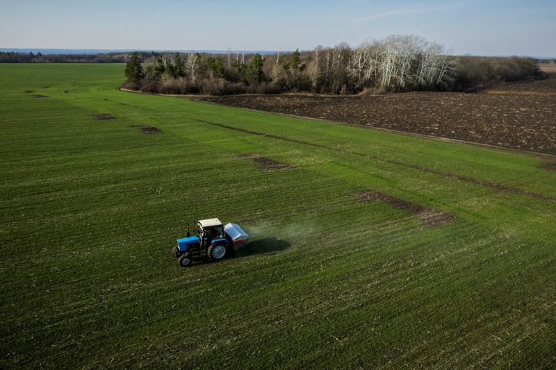 &copy; Reuters. Campo de trigo perto de Yakovlivka, Ucrânia
05/04/2022. REUTERS/Thomas Peter