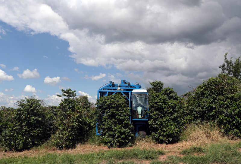 &copy; Reuters. Colheitadeira avança sobre plantação de café em São Sebastião do Paraíso, Minas Gerais
REUTERS/Amanda Perobelli