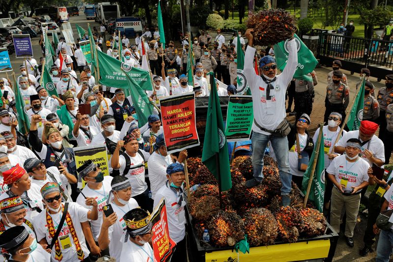 &copy; Reuters. インドネシアで１７日、一部パーム油の禁輸措置で所得が急減したとして、中小の農業従事者数百人が首都などで禁輸解除を求めるデモを行った。写真はジャカルタで撮影（２０２２年　ロ