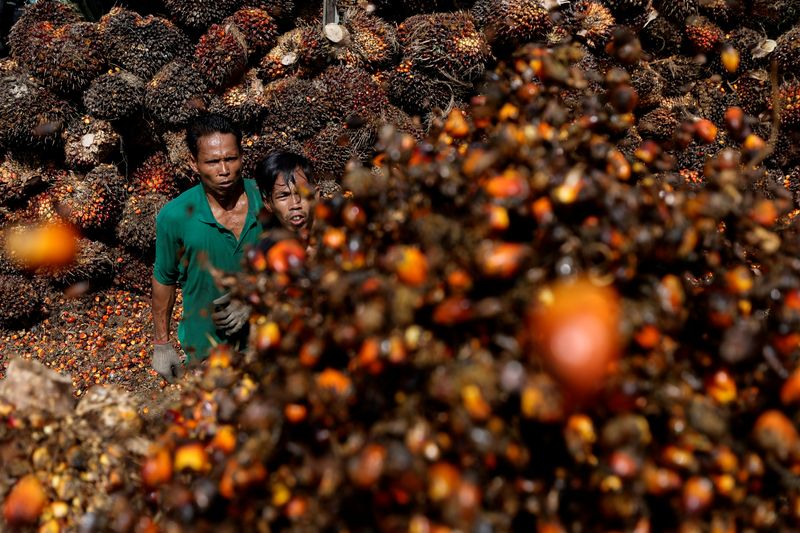 Deputados da Indonésia buscam revisão da proibição de exportação de óleo de palma enquanto indústria alerta sobre armazenamento