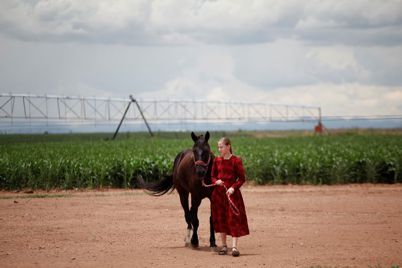 &copy; Reuters. A girl poses for a picture with her horse near an agricultural field in the Mennonite community of Buenos Aires, Janos, Chihuahua, Mexico December 26, 2015. REUTERS/Jose Luis Gonzalez
