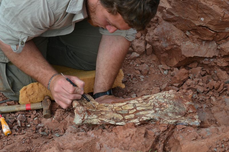 &copy; Reuters. عالم حفريات ينقّب عن عظام وحفريات تنتمي لنوع مكتشف من التيروصورات في الأرجنتين في صورة من أرشيف رويترز 