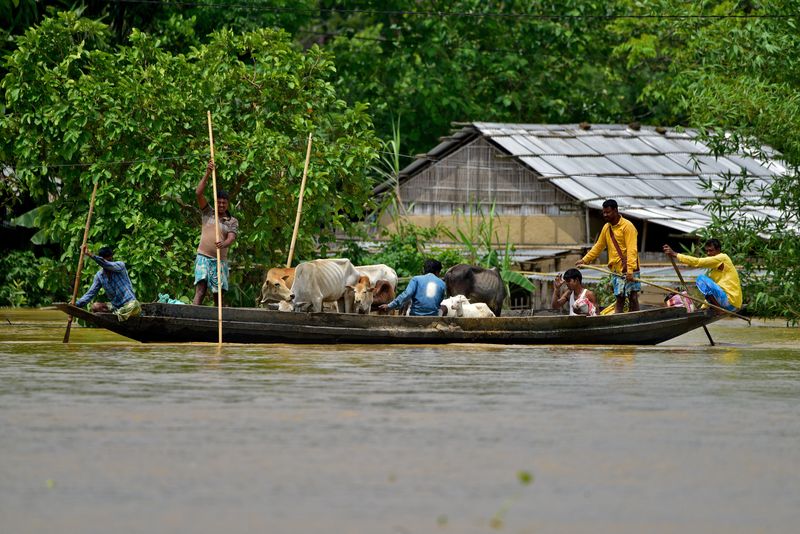&copy; Reuters. Personas afectadas por las inundaciones transportan su ganado a lugares más seguros a través de un campo inundado después de las fuertes lluvias en el distrito de Nagaon, en el estado nororiental de Assam, India, 19 de mayo de 2022. REUTERS/Anuwar Haza