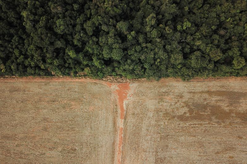 &copy; Reuters. Área de transição entre Amazônia e o Cerrado
28/07/2021
REUTERS/Amanda Perobelli