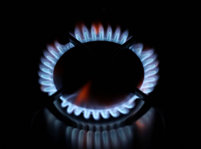 &copy; Reuters. 　５月２４日、英ガス電力市場監督局（Ｏｆｇｅｍ）ジョナサン・ブレアリー最高経営責任者（ＣＥＯ）は２４日の議会委員会で、一般世帯向けエネルギー料金の半年ごとの上限改定につい