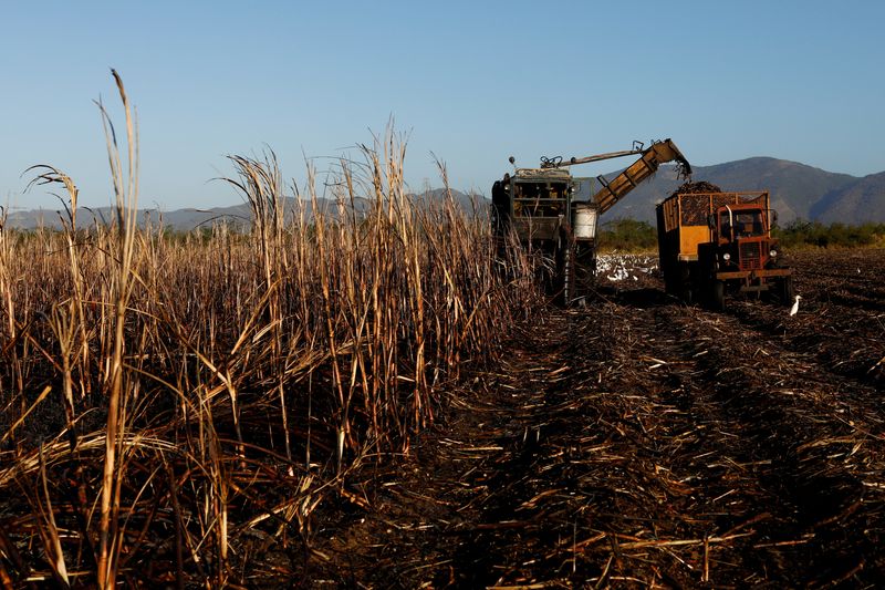 Cuba’s sugar harvest worst in over century, another hit to ailing economy