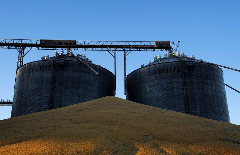 &copy; Reuters. Milho segunda safra em frente a silos do cereal, em Sorriso  (MT)
26/05/2022
REUTERS/Nacho Doce
