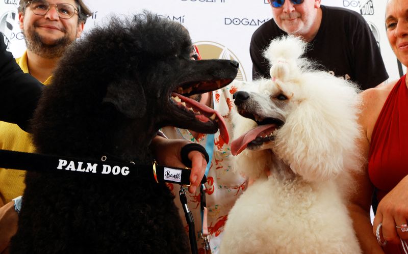 &copy; Reuters. Julieta recebe Palma Canina em nome de do poodle que interpreta "Beast" no filme "War Pony"
27/05/2022
REUTERS/Eric Gaillard