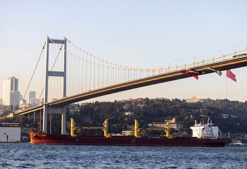 &copy; Reuters. سفينة شحن تحمل الحبوب من أوكرانيا وتمر بمضيق البوسفور في إسطنبول يوم 2 نوفمبر تشرين الثاني 2022. تصوير: أوميت بيكطاش - رويترز 