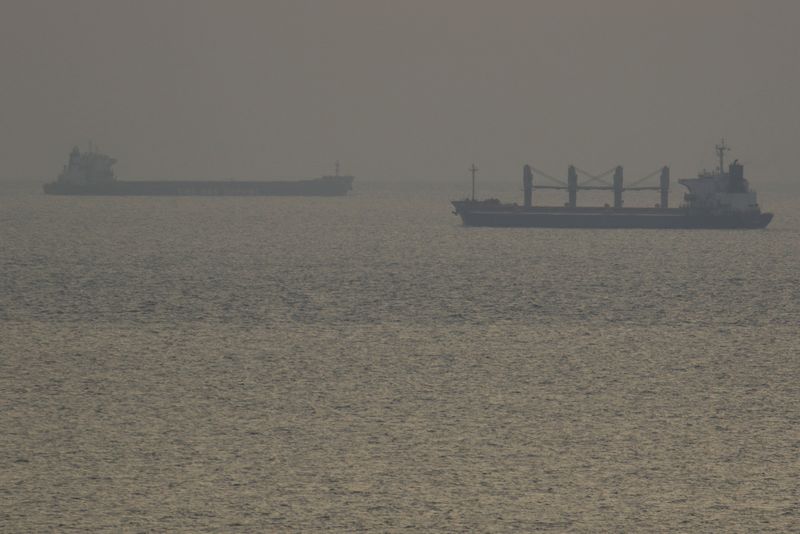 &copy; Reuters. Liberia-flagged bulk carriers Eneida and Ying Hao 01 are seen in the sea as they leave the sea ports of Chornomorsk and Pivdennyi, amid Russia's attack on Ukraine, near Odesa, Ukraine October 1, 2023. REUTERS/Stringer